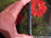 nokiaxp5_15.jpg