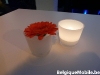 SamsungTourTaxi_05.jpg