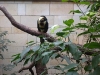 Zoo de Berlin