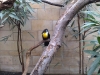 Zoo de Berlin