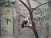 Zoo de Berlin