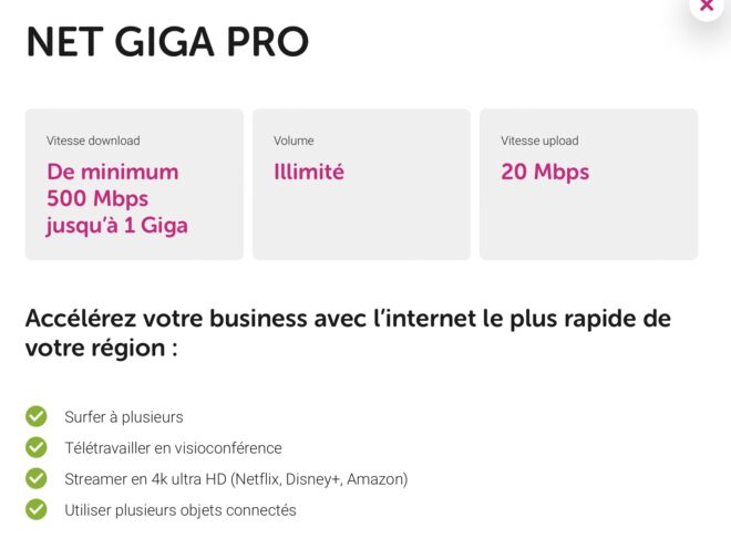 Capture d'écran de Net Giga Pro de VOObusiness avec 500 Mbps à 1 Gbps